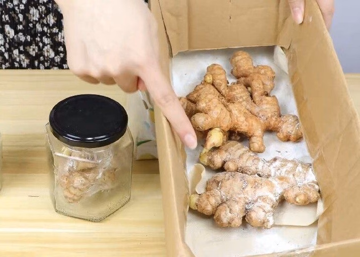 Kết hợp muối và màng bọc giúp gừng không bị mất nước và tránh mọc mầm